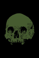 Skull artwork detail illustration