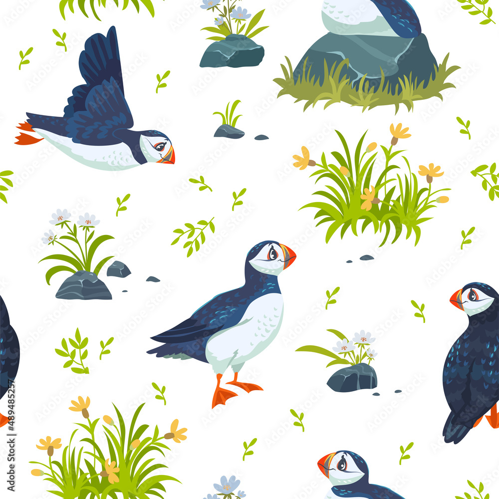 Canvas Prints puffins pattern