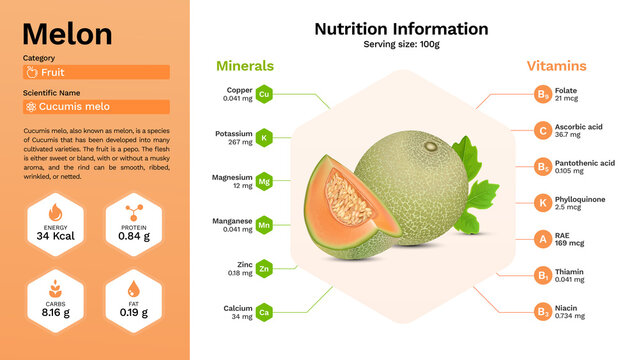 Melon Fruit and its nutritional properties -  Infographics Design