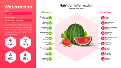 Watermelon fruit and its nutritional properties - infographics design
