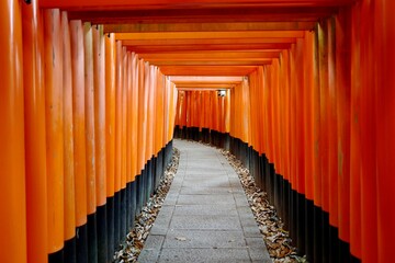 Torii gates of Fushimi Inari Shrine in Kyoto