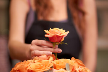 Just one more rose should do it. Closeup of a florists hands as she prepares a bouquet of flowers.