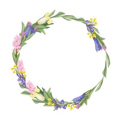 A wreath of fresh garden herbs isolated on a white background. A frame of flowers. Banner with the first spring flowers