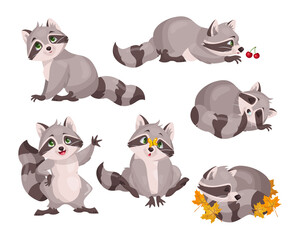Cute raccoon characters set. Vector illustrations of small wild forest animals. Cartoon funny poses of sleeping, playing, waving adorable raccoon isolated on white. Woodland, nature, mascot concept