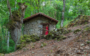 Fototapeta na wymiar Woman sitting in opening door of house in a forest of Galicia
