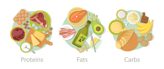 Carbohydrate, protein and fat food set. Vector illustrations of nutrition categories. Cartoon carb fibers in grains, cereal bread, energy meals of meat and eggs isolated on white. Complex diet concept - obrazy, fototapety, plakaty
