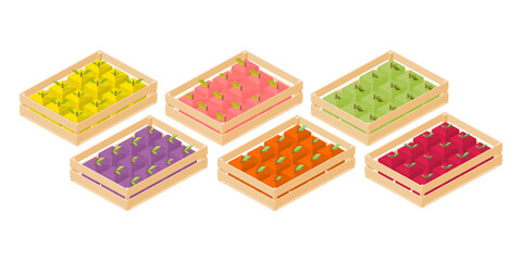 Vector. isometric collection. yellow pink green purple orange red colored fruit cubes in wooden crate basket