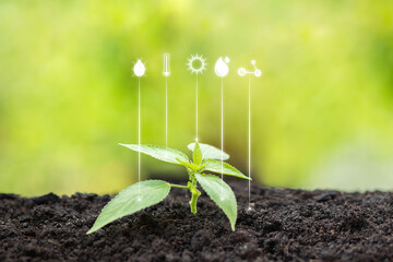 plant, Modern agriculture with technology concept.