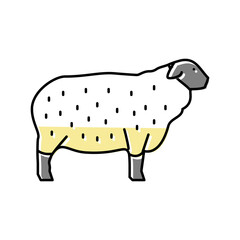 suffolk sheep color icon vector illustration