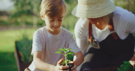 Grandmother teaching young grandson how to plant new starts in the garden bed