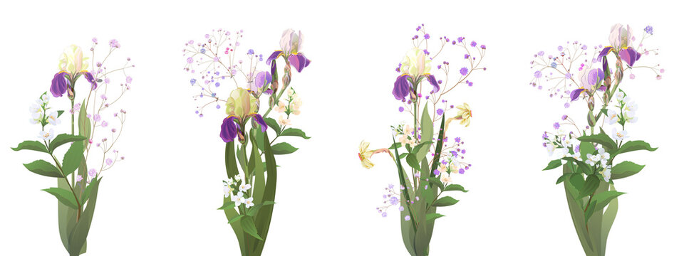 Set spring bouquets: blue iris, daffodil (narcissus), gypsophila, white jasmine. Realistic flowers, small twigs, white background. Digital draw illustration in watercolor style, panoramic view, vector
