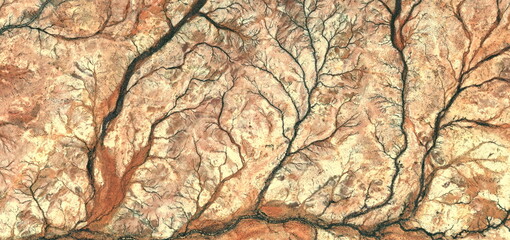 Forest in autumn, abstract photography of the deserts of Africa from the air. aerial view of desert landscapes, Genre: Abstract Naturalism, from the abstract to the figurative