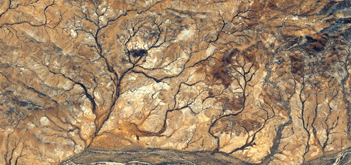 Forest in autumn, abstract photography of the deserts of Africa from the air. aerial view of desert landscapes, Genre: Abstract Naturalism, from the abstract to the figurative