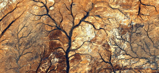 Forest in autumn, abstract photography of the deserts of Africa from the air. aerial view of desert landscapes, Genre: Abstract Naturalism, from the abstract to the figurative