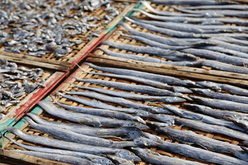 Sun dried fish. Fish stock on bamboo tray, fishing industry. preserving salted fish by small industry