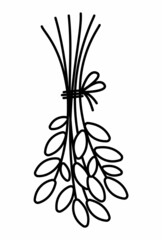Vector black and white leaves bouquet. Outline crop bunch tied with rope. Funny plant illustration or coloring page isolated on white background. Drying twigs hanging upside down.
