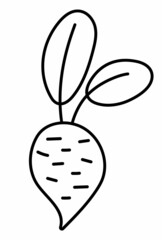 Vector black and white beetroot line icon. Autumn vegetable. Outline beet root plant. Funny veggie harvest illustration or coloring page isolated on white background. Organic farm food picture.
