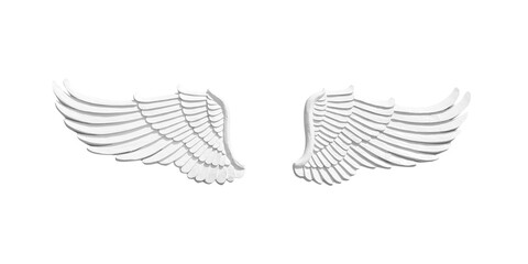 White angel wings isolated on white background., clipping path