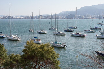 Fototapeta premium 滋賀県立柳が崎ヨットハーバー