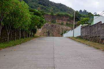 road in the park