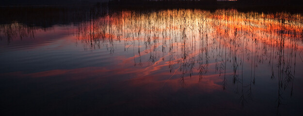 reflections in water