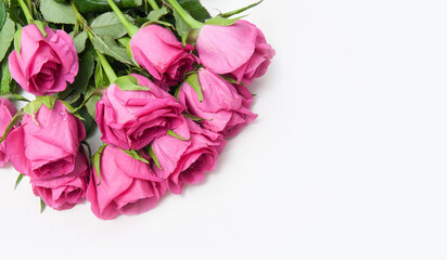 Bouquet of pink roses on a white background