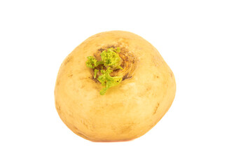 Close-up of a yellow ripe turnip on a white background.