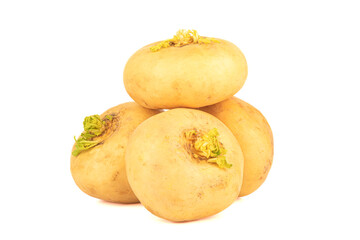 Close-up of ripe yellow turnips on a white background.