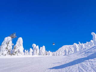 Cable car passing over a slope surrounded snow monsters (soft rime). (Zao-onsen ski resort,...