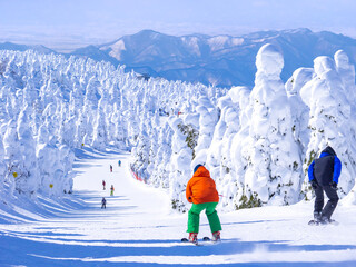 People racing down in a slope through the snow monsters (soft rime). (Zao-onsen ski resort,...