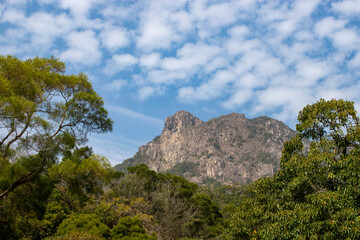 2022 Feb 12,Hong kong ,Lion Rock,Mountain It seems lion is located in Hong Kong, one of the symbol of Hong Kong Spirit