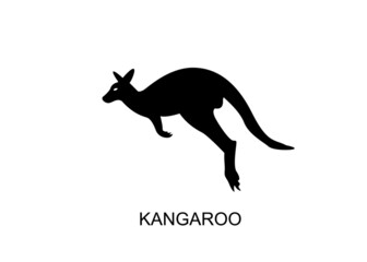 vector kangaroo jump silhouette illustration 