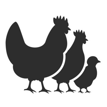 Chicken farm vector icon