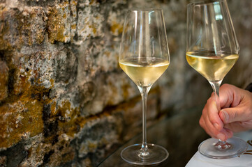 Tasting of brut champagne sparkling wine produced by traditional method in underground caves
