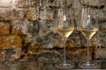 Tasting of brut champagne sparkling wine produced by traditional method in underground caves