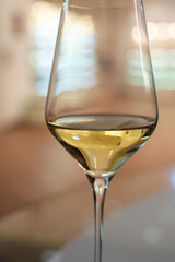 Tasting of brut champagne sparkling wine produced by traditional method in underground caves