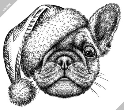 black and white engrave isolated bulldog vector illustration