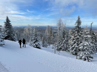 Wernigerode Harz Brocken Brockenbahn Schnee