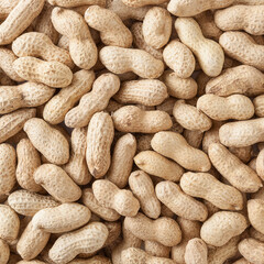 Raw unpeeled peanuts background