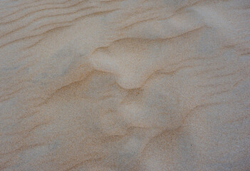 DUNAS DE ARENA EN PLAYAS DE TARIFA