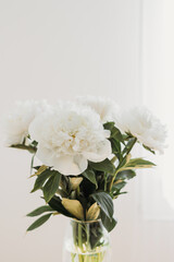 Bouquet of beautiful white peony flowers on the windowsill indoors. Place for text