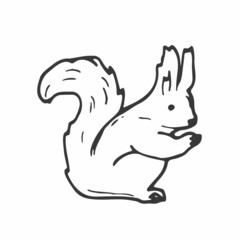 Doodle squirrel sketch isolated on white background. Vector illustration. Woodland concept