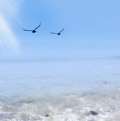 A photo beach of Oahu, Hawaii. A photo beach of Oahu, Hawaii.