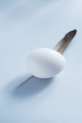White egg on a blue background. Raw chicken egg close up. Minimal Easter concept