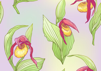 Lady's slipper orchid, Cypripedioideae, Seamless pattern, background. Vector illustration. In botanical style