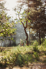 a red bicycle stands by a tree in the park. Summer, sunny day