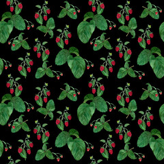 Seamless pattern with raspberry berry and green leaves hand-painted in watercolor on a black background.