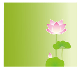 グリーンバックの蓮の花