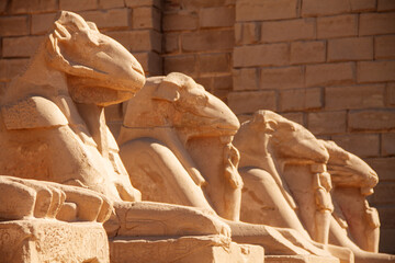 Egypt Tour, Luxor, January 2022