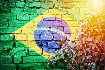 Brazil grunge flag on brick wall with ivy plant sun haze view